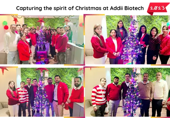 Christmas Celebration 2023