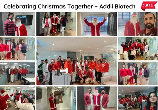 Christmas Celebration 2025