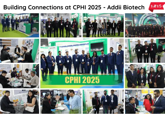 Christmas Celebration 2025