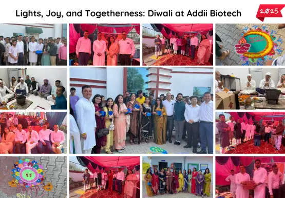 Diwali Celebration 2025